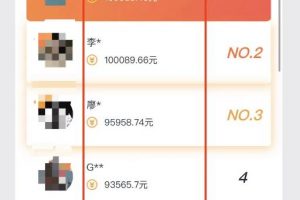 揭秘月入十万赚钱项目设计流程与操作细节