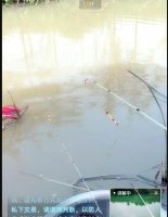 现在搞抖音直播，哪些产品有巨大机会？普通人可以入局吗