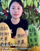 看抖音直播30天，揭秘直播卖货秘籍