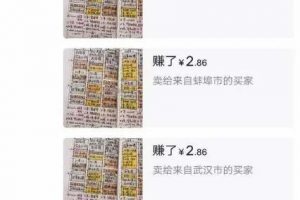 新手靠这个小众蓝海暴利项目，一个月赚1万多块钱