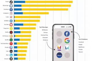 [TikTok赚钱,国际版抖音]玩转国际版抖音TikTok赚钱，TikTok赚钱的主要方式了解下！