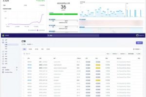 [TikTok变现]TikTok跨境电商团队，手把手教你建号和变现