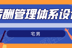 宅男·薪酬管理体系设计，价值980元