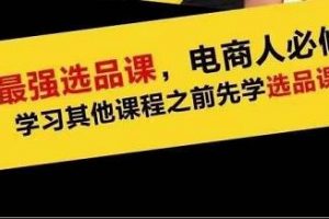 蓝海高利润选品课：你只要能选好一个品，就意味着一年轻松几百万的利润