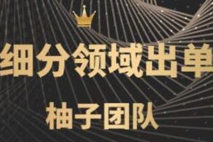 闲鱼细分领域暴力出单玩法，低成本轻松做到单号月入5000+