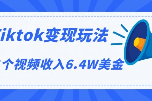 Tiktok变现玩法，不自己拍摄视频，不露脸，单个视频收入6.4W美金（视频+文档）