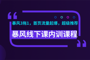 暴风线下课内训课程(暴风3拖1，首页流量起爆，超级推荐)视频+录音+文档