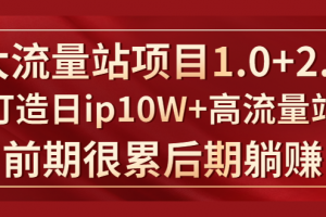 《大流量站项目1.0+2.0》打造日IP10W+高流量站，前期很累后期躺赚