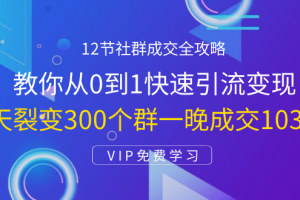 12节社群成交全攻略：从0到1快速引流变现，3天裂变300个群一晚成交103万