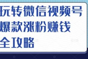 玩转微信视频号爆款涨粉赚钱全攻略，让你快速抓住流量风口，收获红利财富