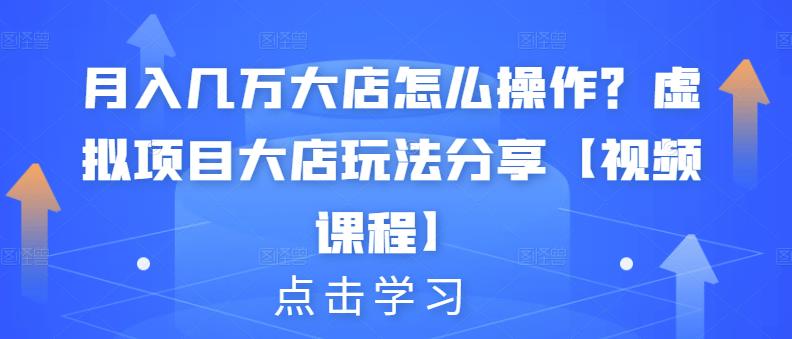 月入几万大店怎么操作？虚拟项目大店玩法分享【视频课程】插图