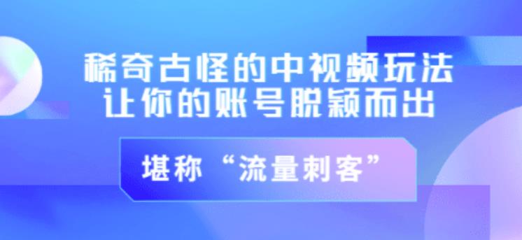 不讲李·稀奇古怪的冷门中视频冷门玩法，让你的账号脱颖而出，成为流量刺客！（图文+视频）插图