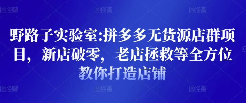 野路子实验室:拼多多无货源店群项目，新店破零，老店拯救等全方位教你打造店铺插图