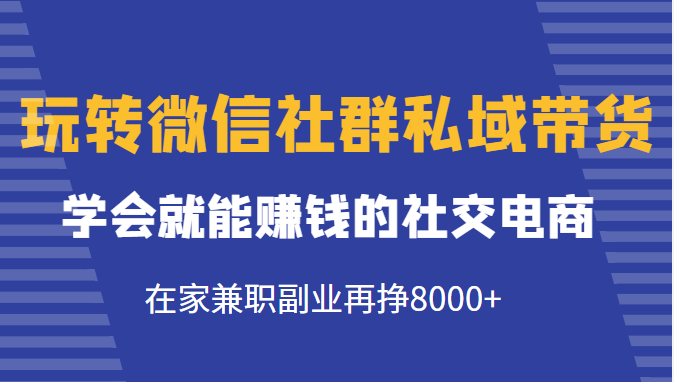 玩转微信社群私域带货，学会就能赚钱的社交电商，在家兼职副业再挣8000+插图