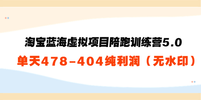 淘宝蓝海虚拟项目陪跑训练营5.0：单天478纯利润插图