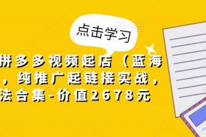 小乔·拼多多视频起店（蓝海项目），纯推广起链接实战，多玩法合集-价值2678元