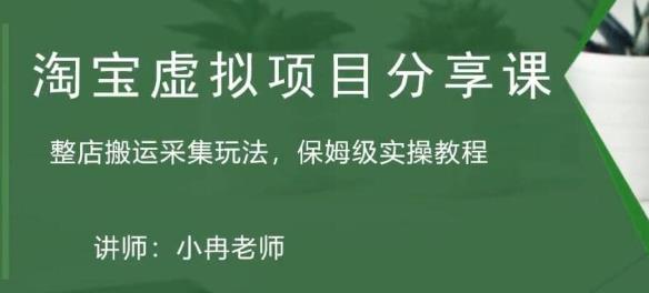 淘宝虚拟整店搬运采集玩法分享课：整店搬运采集玩法，保姆级实操教程