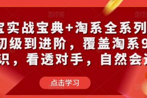 淘宝实战宝典+淘系全系列进阶，初级到进阶，覆盖淘系99%的知识，看透对手，自然会运营