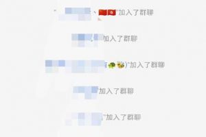 黑科技纯原创可爱猫咪图片，全网精准引流，实操5个VX号被加频繁