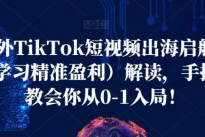 海外TikTok短视频出海启航营（学习精准盈利）解读，手把手教会你从0-1入局！